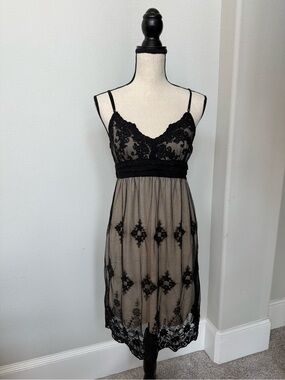 Black Sheep Black Lace Chemise Style Dress
